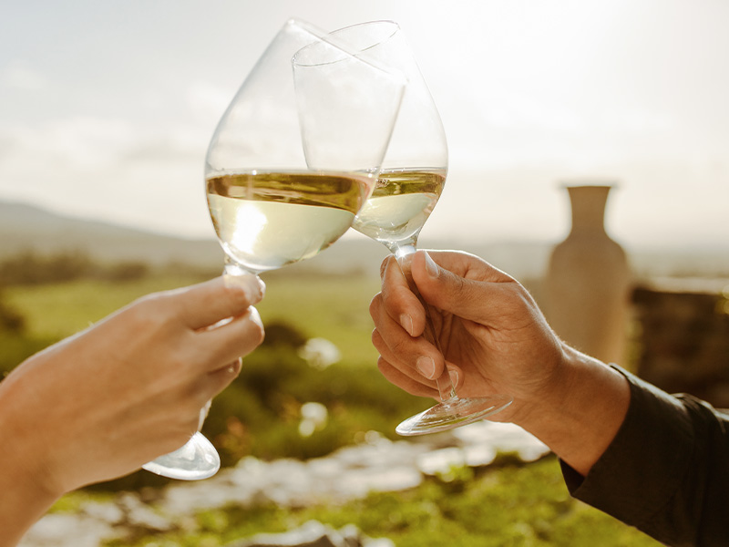 vinicola